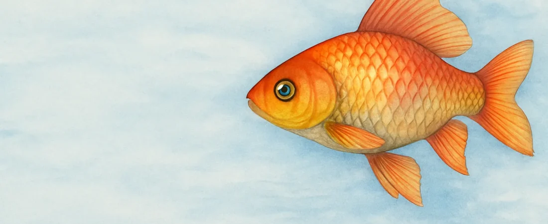 Significado de sonhar com peixe: 10 possíveis interpretações