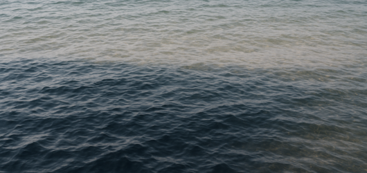 O que significa sonhar com água escura e limpa?