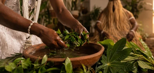 Ervas de Obaluaê para banho: conheça as principais, seus significados e por que o uso varia entre terreiros